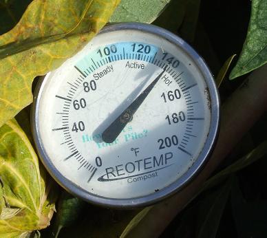 compost temp